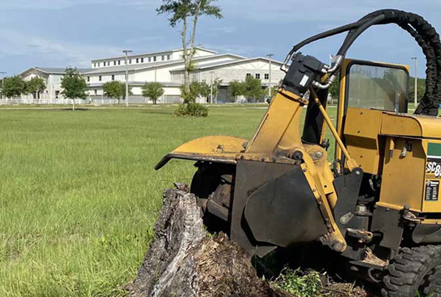 Stump grinder cutting wheel set against a wide hardwood stump, mid-cut