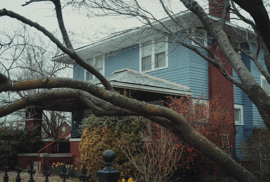 Storm-dropped hardwood limbs sprawled across the roofline and yard of a two-story house